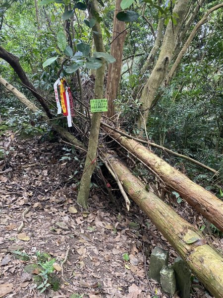 坐公車接駁的神仙縱走2707457