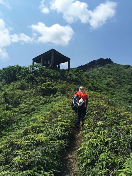 2017-5-1 劍龍鋸齒稜半屏山茶壺山147710