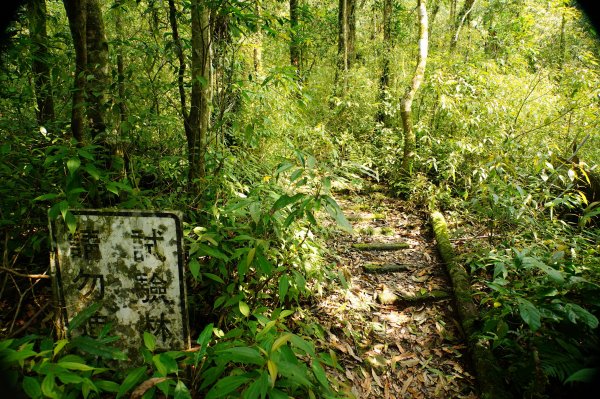 新北 烏來 志良久山3035159
