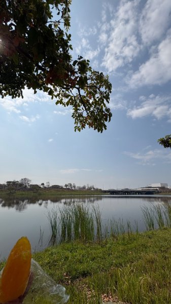 🚴‍♂️ 台南單車慢漫遊3003313