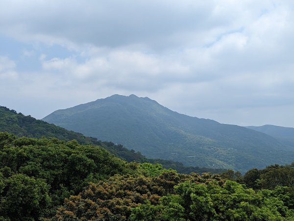 中正山環狀路線：捷運新北投站來回2104948