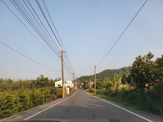 林內咬狗山810631