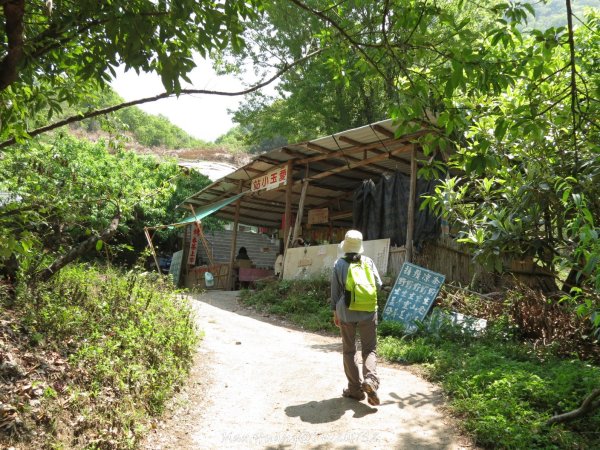《南投》峽谷瀑布｜東埔八通關古道-雲龍瀑布201704162887727