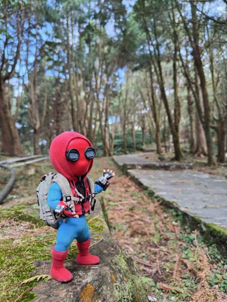 2023.12.27 東眼山2838843