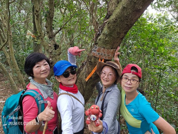 東勢大崙、東勢坑山、觀音湖山O走2986228