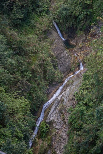 【花蓮】瓦拉米步道春遊823361