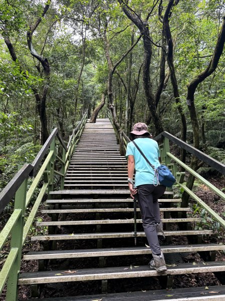 大崙頭山 2025/05/302811053