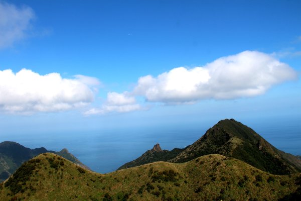 【金瓜石】漫山芒花怒放浪漫，礦山藍海奇景夢幻！2964023