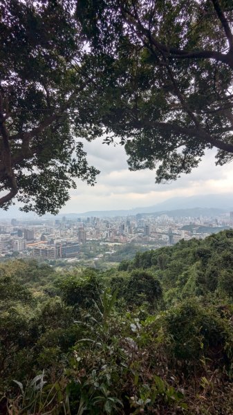 劍潭山親山步道2676456