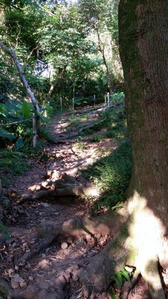 台北大縱走之劍潭山+忠義山445659