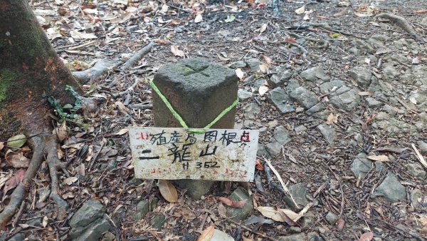 2025元旦山行 新店直潭山、二龍山O型2784964