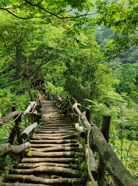 大坑3號登山步道1684737