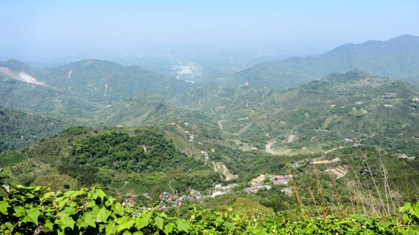 二延平步道。貿易戰2764957