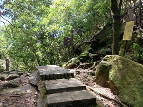 平溪區東勢格越嶺古道+孝子山步道(慈恩嶺+慈母峰)探花(艷紅鹿子百合)路線O型2848668