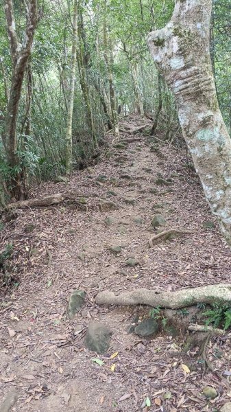 20251004 馬那邦山 - 珠湖 登山口2904841