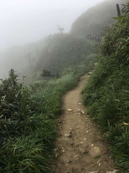 20190405_聖母登山步道588399