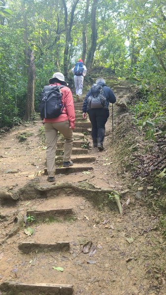 2025-0204 鶯歌_大凍山_三角埔頂山_迴龍2707926