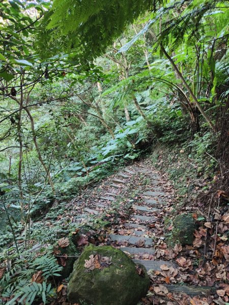 2023.12.14 土城天上山2827292