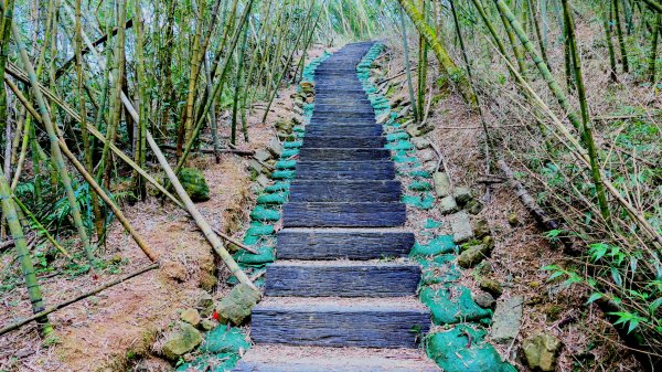 雲嘉五連峰2948644