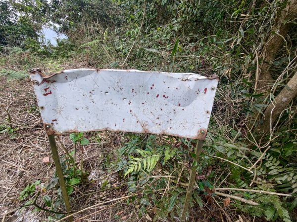 盆貿里山三盆連走2749596