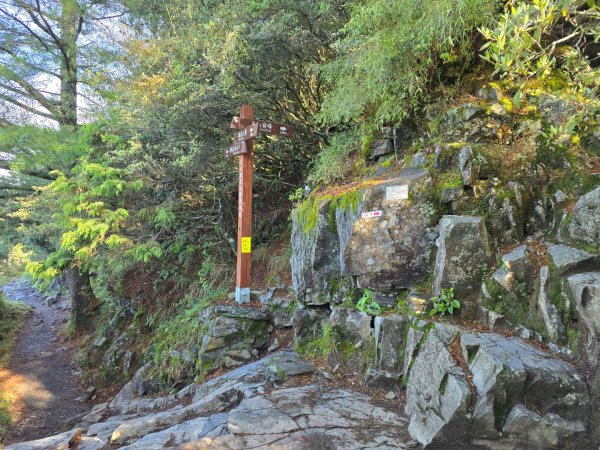 南玉山之行2822752