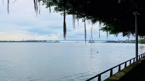 跨越，在河海交界3042375