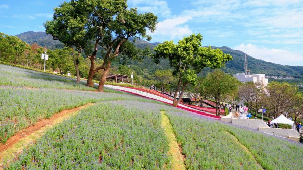 三層崎的呢喃2692133