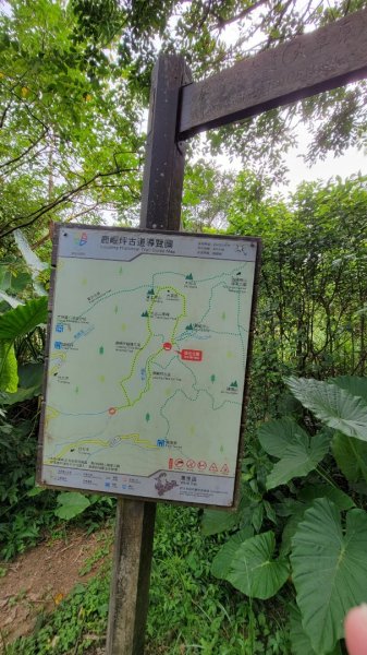 大坪古道-磺嘴山-鹿崛坪古道-2022/8/141855592