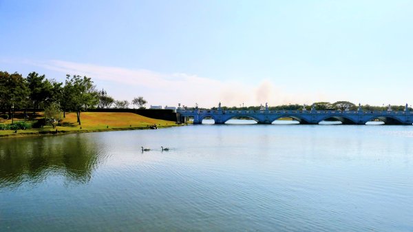 琴弦上的白宮2987570