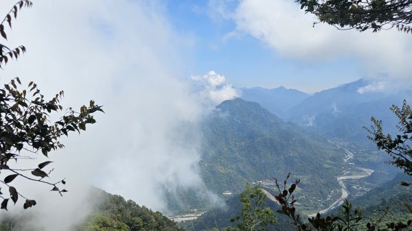 【美美兔走山趣】谷關抓雄-老六白毛2749975