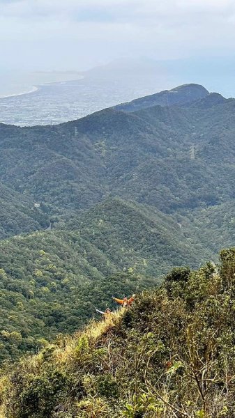 坪林區碧湖宮-四堵崙-四堵山-護管所遺址O型2081781