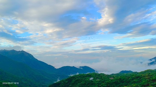 金山灣雨瀑+漁火點點，追花是簡單的快樂，賞花是恬淡的幸褔2513397