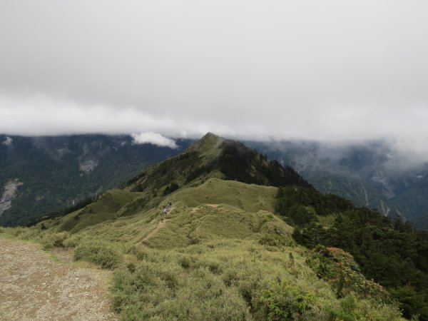 合歡山東峰-尖山-小奇萊-石門山2513123