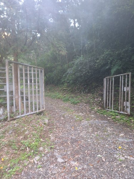 泰安麻必浩林道南坑山O型202502282724651