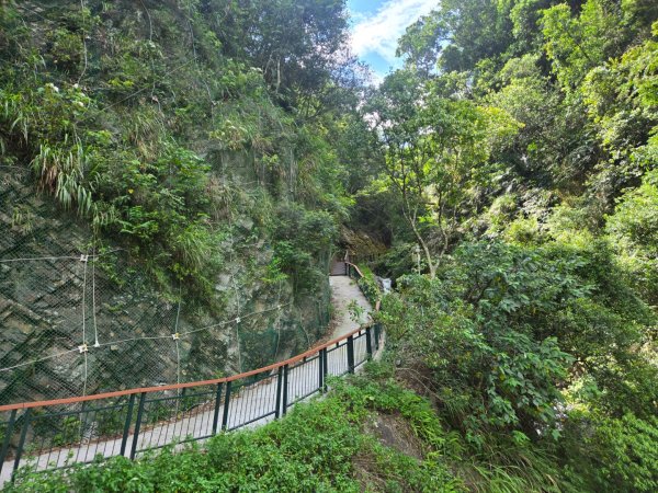 埔里觀音瀑布、天旨宮鰲頭山步道3093788