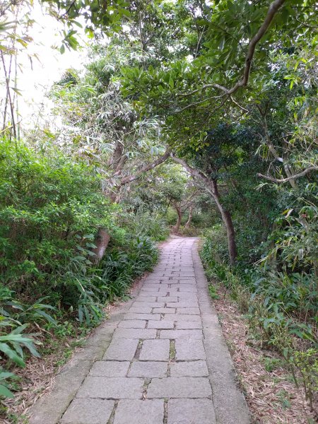 尖山步道-北橫古道-硬漢嶺步道794361