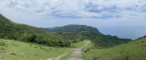 20240421灣坑頭山步道2485372