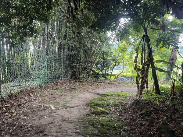 [皮皮獅探險隊-01/10] 2025_0706 六寮古道2830745