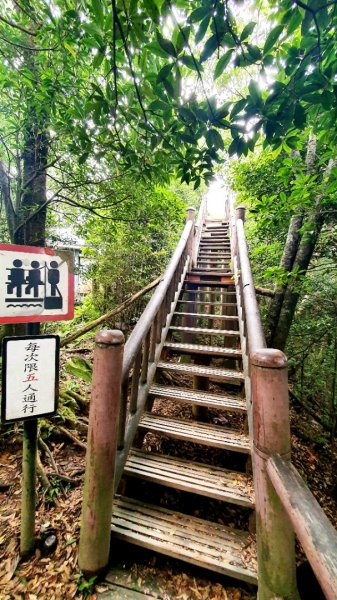 桃園東眼山，親子峰，尾寮崎古道，小角仔古道，街口溪步道，三峽阿屘尖，神木尖，牛角尖，牛角坑山1757536