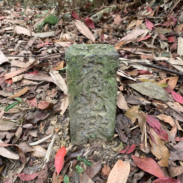 20260207南投雨後頭縱走2998112