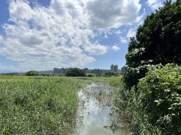 [跟著2025雙北世壯運探索雙北市-8/21] 2025_0615 微風輕艇航線（蘆洲微風園區）