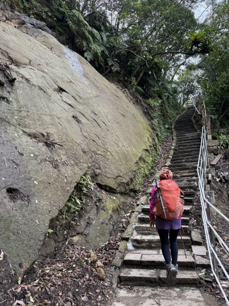 南港山.象山.四獸山-202503172770541