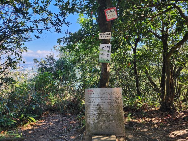 小百岳No.20⛰獅仔頭山2917938