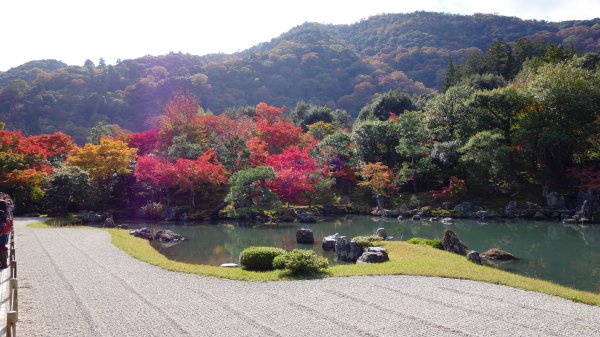 日本京都嵐山652020