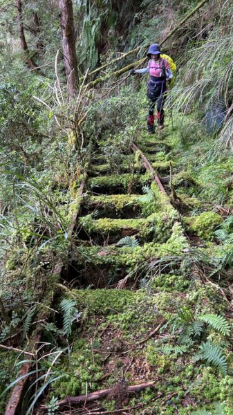 太平山運材軌道見晴線2588844