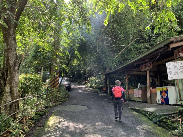 蟲鳴水聲巨石坂 里美避難步道 2019612158