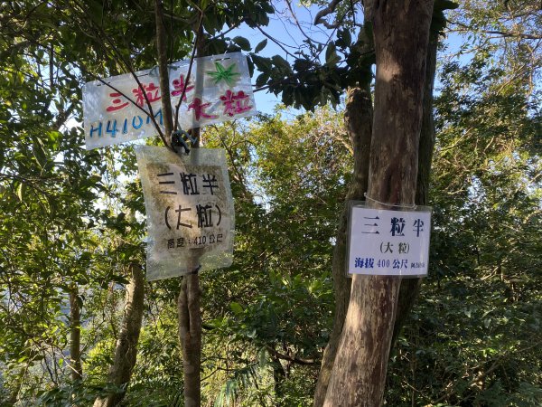 2025微笑山線大縱走尋寶集章任務-Ep.04【天上山系】望月亭桐花段｜石門內尖山東峰 ×石門內尖山2979094