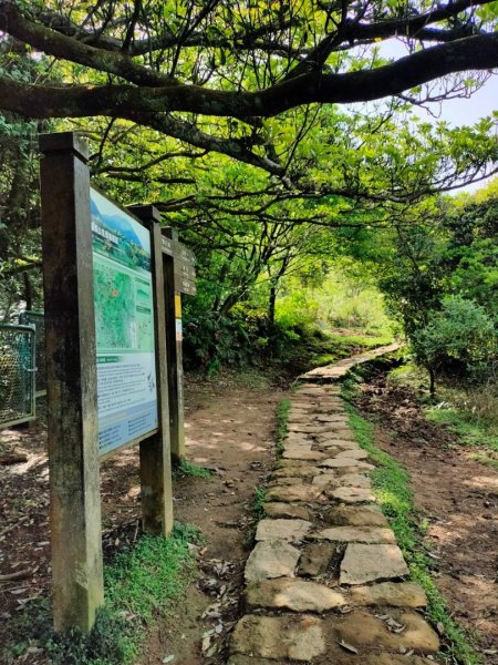 ［走遍陽明山］頂山石梯嶺步道+坪頂古圳2186458