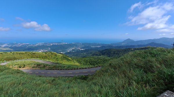 《老鷹怎麼這麼多》五分山_小百岳#101146477