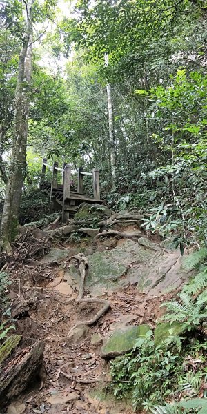 內鳥嘴山，北得拉曼神木群步道，瀑布初體驗1062600